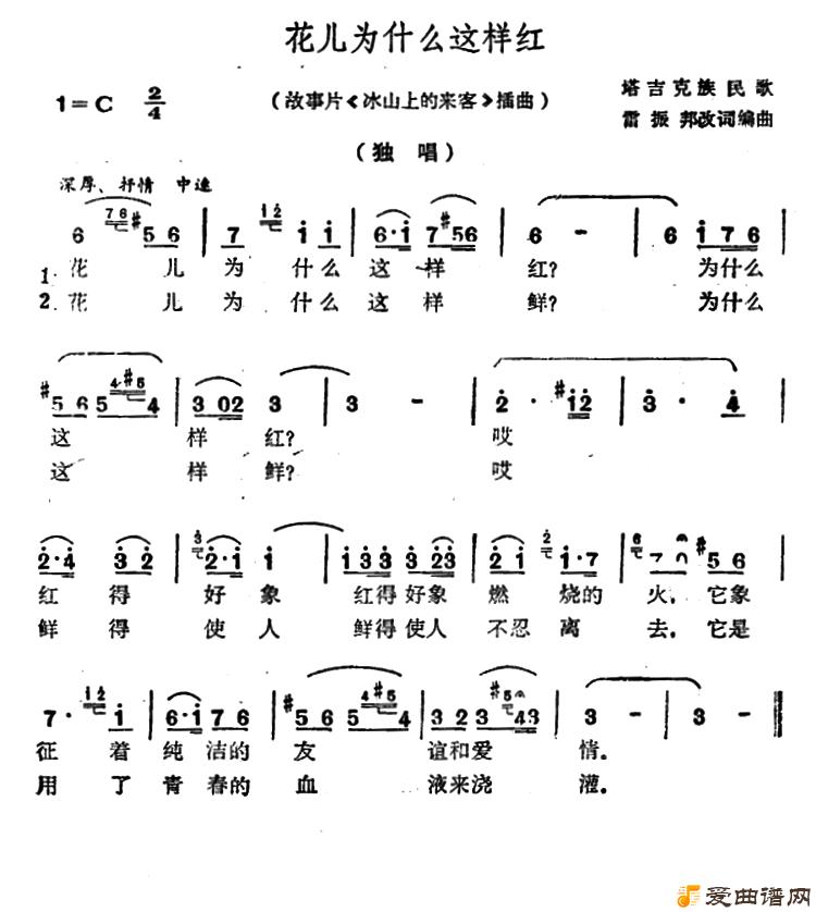 衶Ϊʲô졷