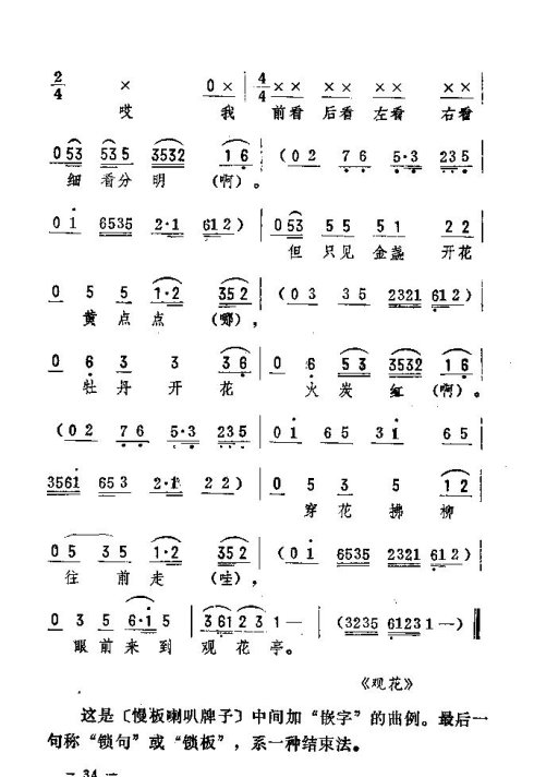 ת31-45