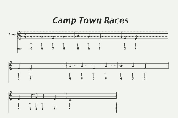 camp town races