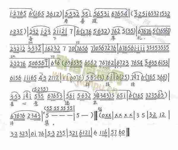 ޹36-42