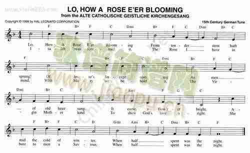 111.LO,HOW A ROSE E`ER BLOOMING