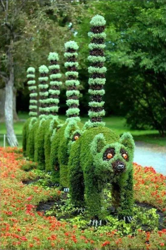 漂亮的园艺 大神级园艺作品赏析-美得惊心动魄