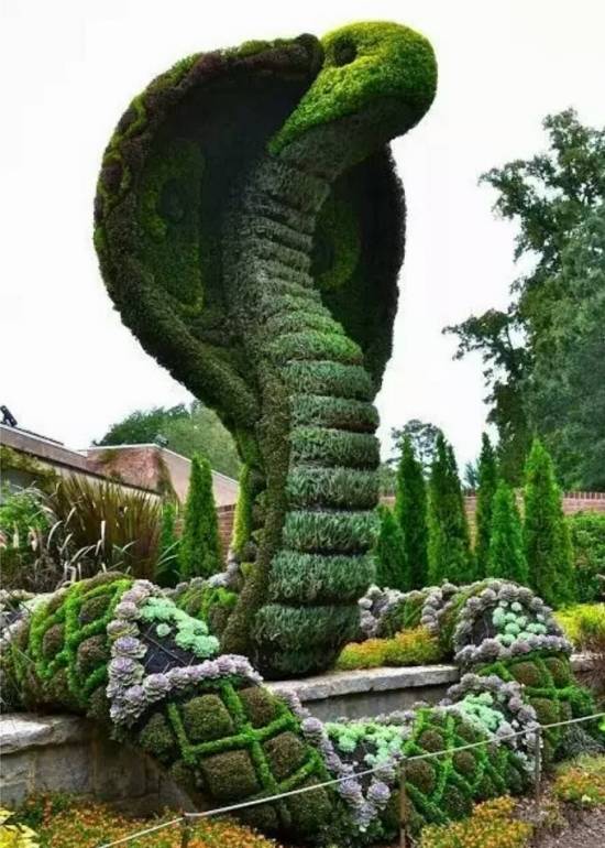 漂亮的园艺 大神级园艺作品赏析-美得惊心动魄