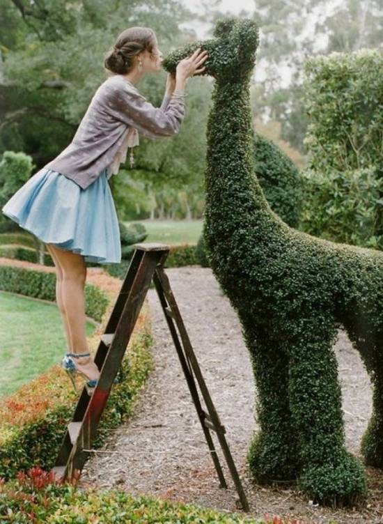 漂亮的园艺 大神级园艺作品赏析-美得惊心动魄