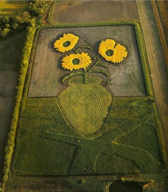 漂亮的园艺 大神级园艺作品赏析-美得惊心动魄