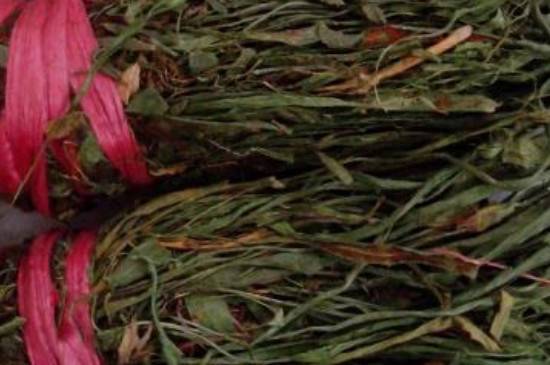 马蹬草图片 功效和作用介绍