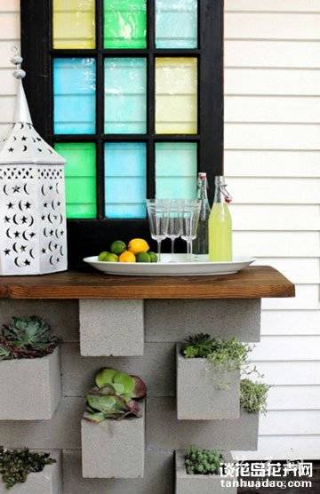 养多肉的最高境界:用多肉打造完美家居