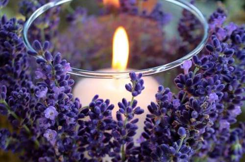 1537195024279835.jpg 家庭插花:大口径花瓶的插花技巧