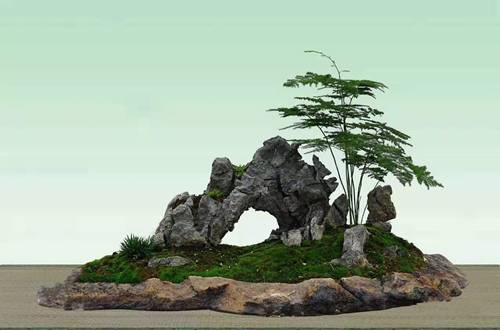 1550759956140188.jpg 花卉盆景的好看装饰技巧