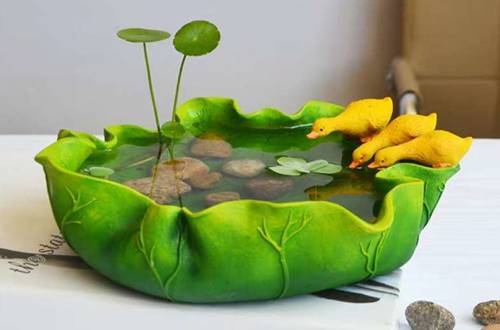 1550759980137219.jpg 花卉盆景的好看装饰技巧