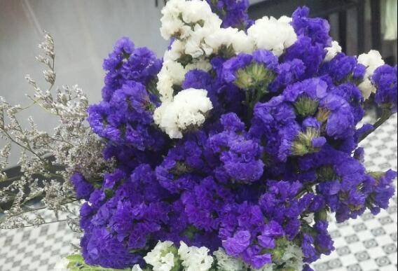 来看看家里的干花受潮长毛了怎么办