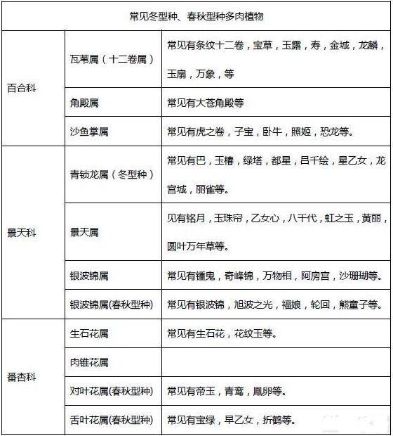 多肉度夏方法 夏季养护要点须知