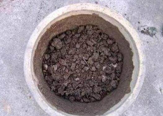 栀子花的扦插繁殖图文教程