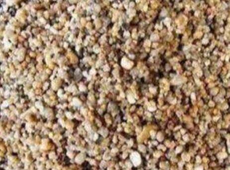 栀子花的扦插繁殖图文教程