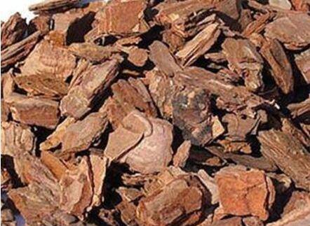 兰花配土植料的选择:兰花怎么配土最好