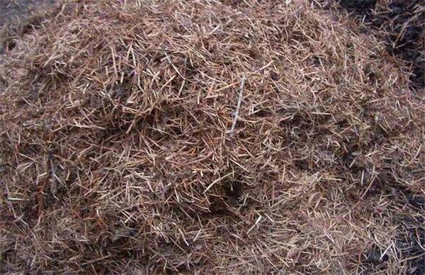 兰花种植土材料及配制方法