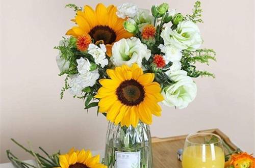 1588761020764115.jpg 买回来的鲜花如何最大限度延长花期