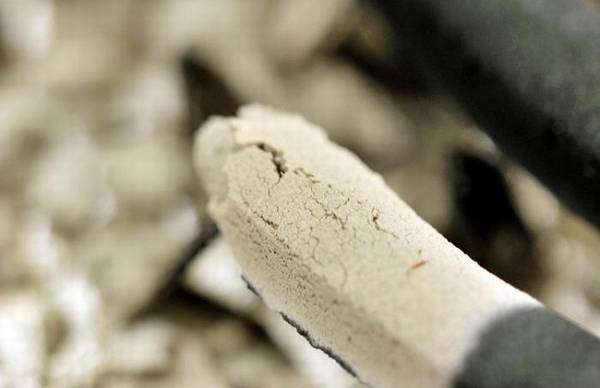 盆栽绿植表面上铺什么生长旺盛