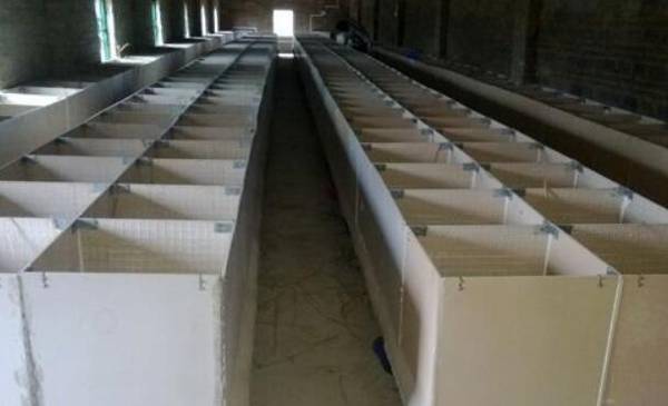 500平米竹鼠养殖场第一年投资多少钱,30万元打不住_竹鼠养殖