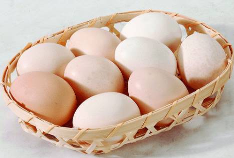 土鸡蛋的储存注意事项,土鸡蛋的功效作用_养鸡