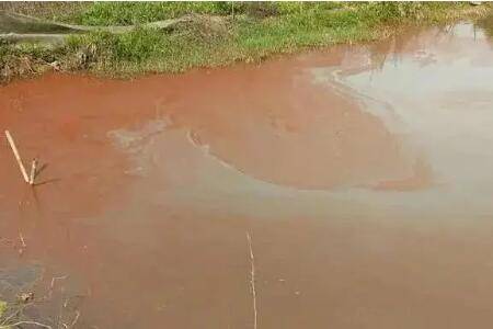 鱼塘水红褐色是什么原因_养鱼