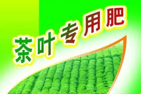 什么是茶叶专用肥料_农药肥料