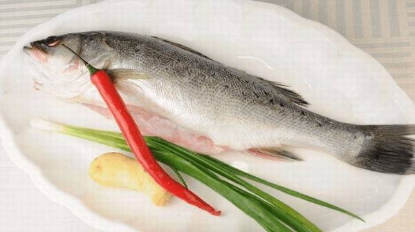 鲈鱼有没有刺_养殖问答