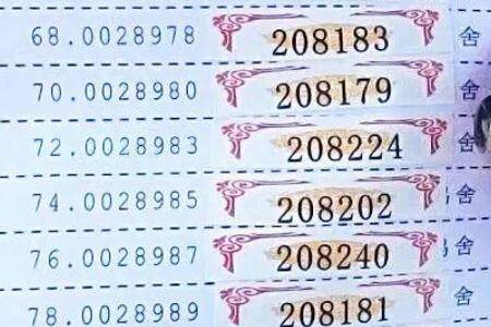 信鸽暗插代表什么意思_养鸽