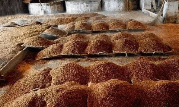 养鸡能用酒糟吗_养殖问答