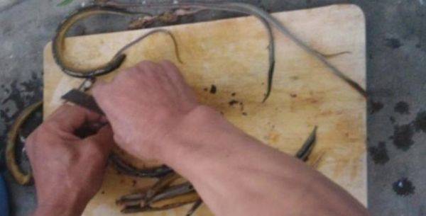 黄鳝怎么去骨,两大去骨方法看一看_养鱼