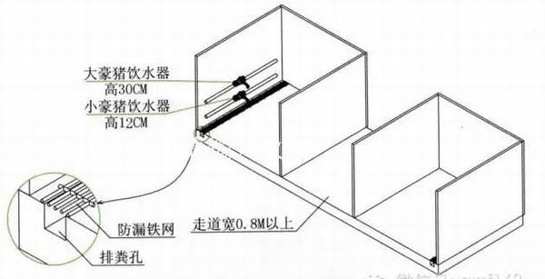 豪猪舍中投药箱的设置要点_豪猪养殖