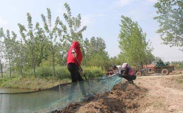 小龙虾怎么防止逃跑,小龙虾的防逃措施_养虾