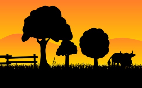 牛宝宝怎么取名,好方法起好名字