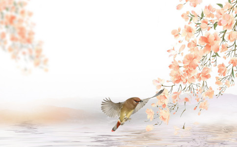 姓魏名字五行缺金名字