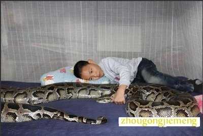 梦见被蟒蛇咬