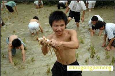 梦见掉进浑水里