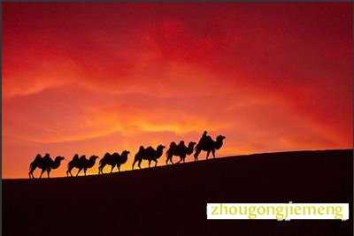 梦见迎亲队伍 游行